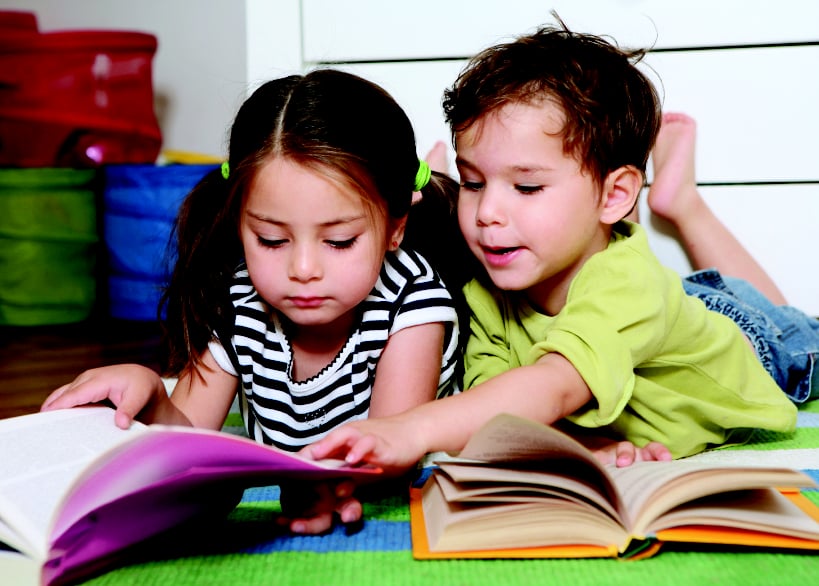 Early Childhood Council of Larimer County - social services organization in Fort Collins, CO