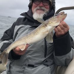 A couple of nice protected slot walleyes make fishing memorable. Absolutely some of the best fish we've ever had on our 2025 trip.