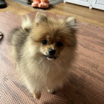 Head to Tail - Pet Stores Near Me - Cliffside Park, New Jersey
