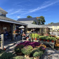 Tangerini's Spring Street Farm