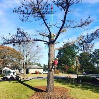 Boss Tree Service - Tree Services Near Me - Newnan, Georgia