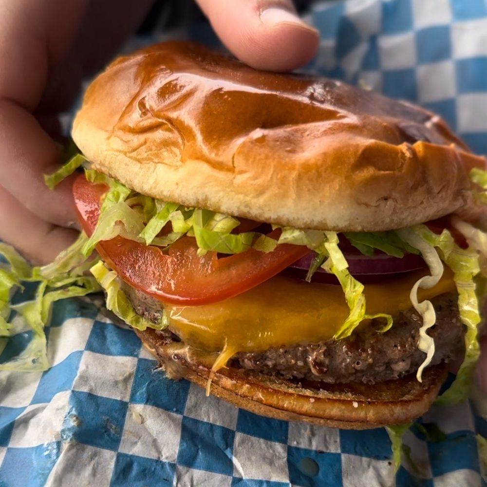 Frosty's - A st. Burger with cheddar cheese (how it comes) - Burgers Near Me - Dixon, California