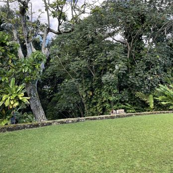 Kendall Landscape Services - Landscaping Near Me - Honolulu, Hawaii Kendall Landscape Services - Landscaping Near Me - Honolulu, Hawaii