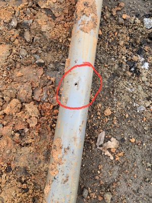 Quality services Logo