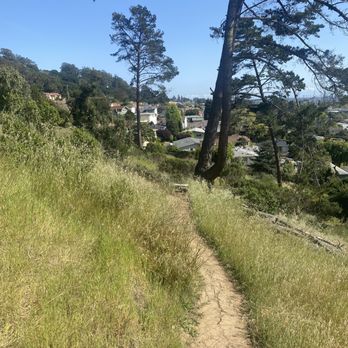Motorcycle Hill - Shade and trail - Hiking Near Me