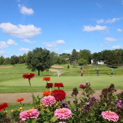 Group putting on hole 18 with flowers in foreground.