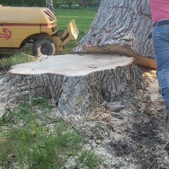 Adrian's Tree Service - Tree Services Near Me - Walled Lake, Michigan Adrian's Tree Service - Tree Services Near Me - Walled Lake, Michigan