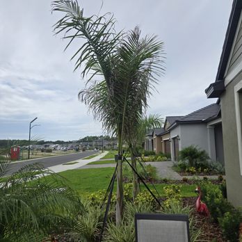 Pauls Lawncare Services - Lawn Services Near Me - Parrish, Florida Pauls Lawncare Services - Lawn Services Near Me - Parrish, Florida