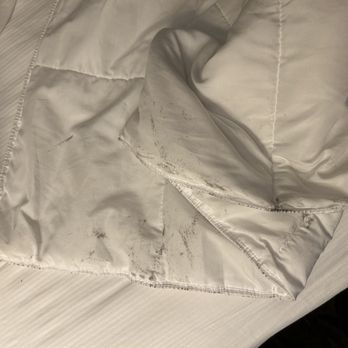 DoubleTree by Hilton Hotel Montgomery Downtown - Stains on the comforter - Hotels Near Me - Montgomery, Alabama DoubleTree by Hilton Hotel Montgomery Downtown - Stains on the comforter - Hotels Near Me - Montgomery, Alabama