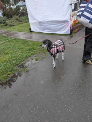 Grand Lake Farmers Market by null
