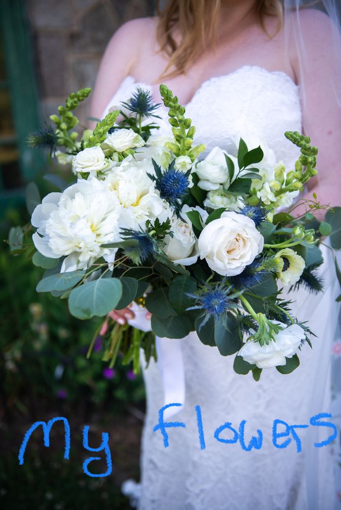 ROCHE BROS. EASTON Updated September 2024 99 Photos & 31 Reviews