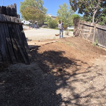 Central Coast Tree Specialist - Tree Services Near Me - San Luis Obispo, California Central Coast Tree Specialist - Tree Services Near Me - San Luis Obispo, California