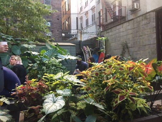 Saturdays NYC Crosby St by null