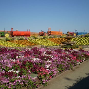 The Flower Fields - Venues & Event Spaces Near Me - Carlsbad, California