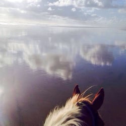 Muriwai Beach Horse Treks - Privileged to have been on horse back with an amazing setting