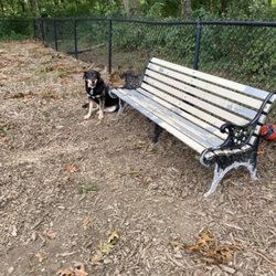 Haines Dog Park