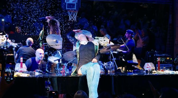 The Shout! House by null