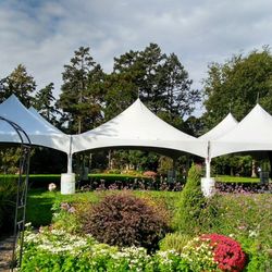 Rental CIty - 30x60 tent for garden wedding
