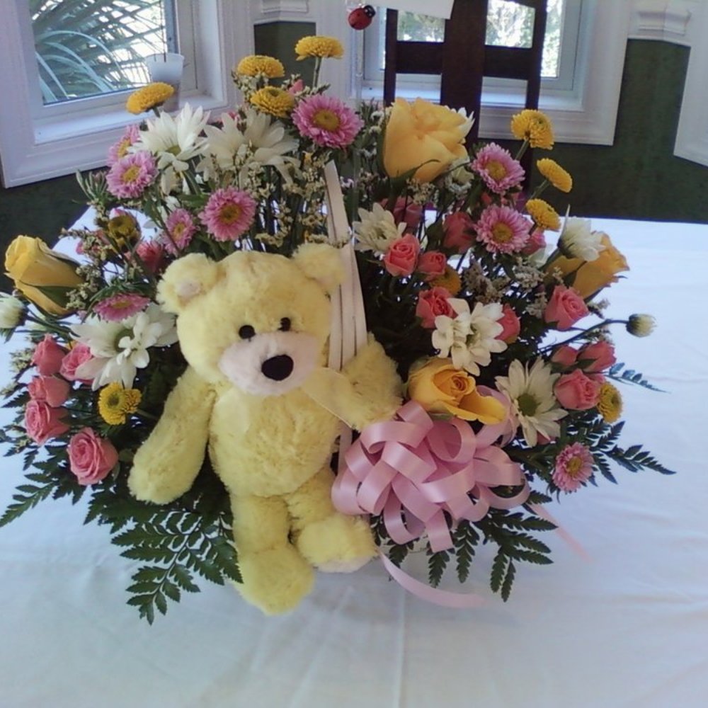 Doodlebugs Flower Shop - Shower Flowers - Florists Near Me - Darien, Georgia Doodlebugs Flower Shop - Shower Flowers - Florists Near Me - Darien, Georgia