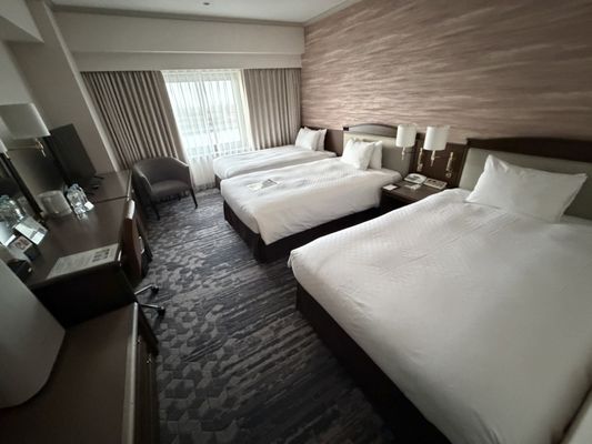 Hotel Nikko Kansai Airport by null