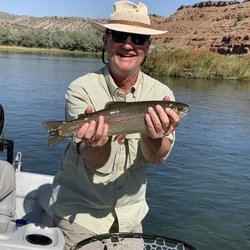 Crazy Rainbow Fly Fishing