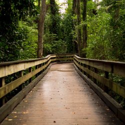 Carol Rivendell Life Coach - Finding your way