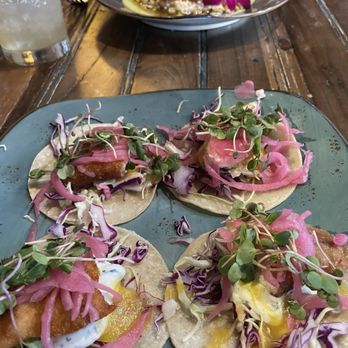 Fish Gaucho - Halibut tacos and halibut with deconstructed corn - Mexican Near Me - Paso Robles, California