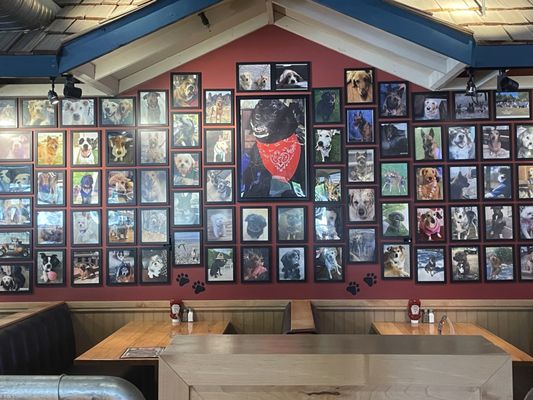 Uncle Bear's Grill & Tap - Greenfield by null