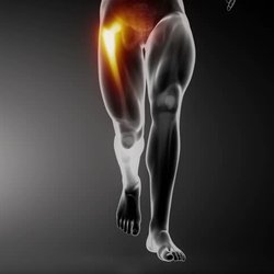 Heckmann Chiropractic
