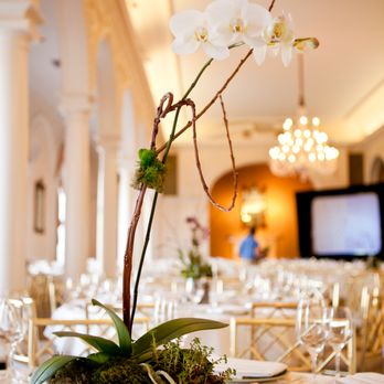 Terry Furuta Designs - Florists Near Me - Atlanta, Georgia Terry Furuta Designs - Florists Near Me - Atlanta, Georgia