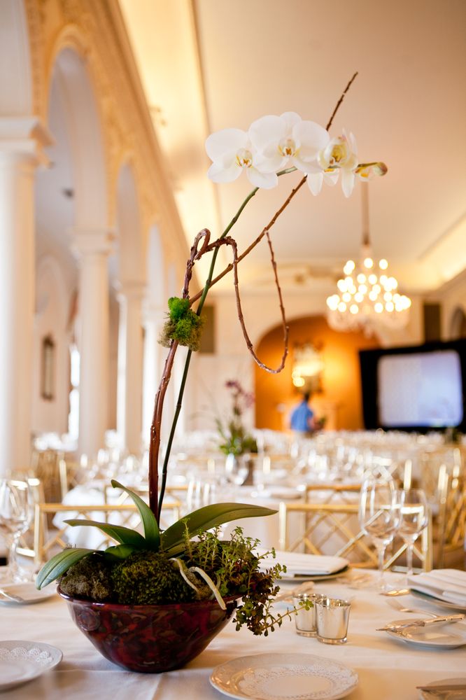 TERRY FURUTA DESIGNS Updated September 2024 129 Photos 3200