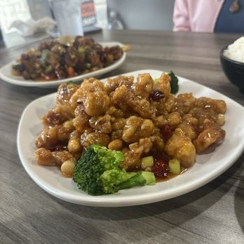 Bee Dumpling - Orange chicken - Chinese Near Me - Austin, Texas Bee Dumpling - Orange chicken - Chinese Near Me - Austin, Texas