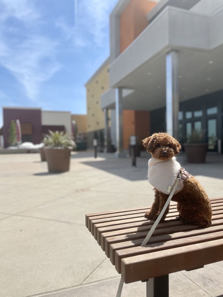 PETCO 【92 Photos & 44 Reviews】 6557 Riverside Dr, Fresno, California