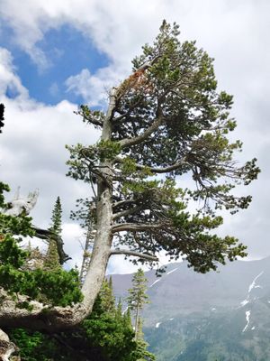 Grinnell Glacier by null