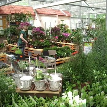 Dehner - Home & Garden Near Me - Kassel, HE