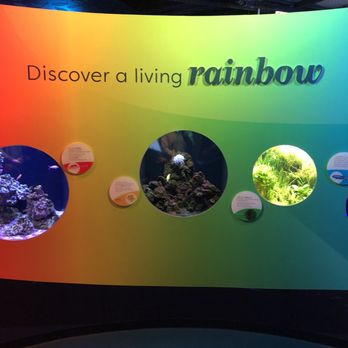 Shedd Aquarium - Aquariums Near Me - Chicago, Illinois
