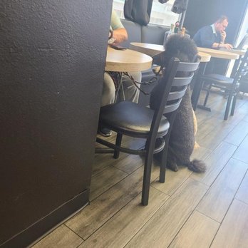 Viva Vegan Diner - A white woman with two of her dogs - Mexican Near Me - Upland, California Viva Vegan Diner - A white woman with two of her dogs - Mexican Near Me - Upland, California