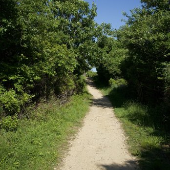 Shadmoor State Park - Path to the beach - Parks Near Me - Montauk, New York Shadmoor State Park - Path to the beach - Parks Near Me - Montauk, New York