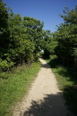 Shadmoor State Park by null