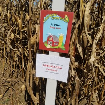 Sweet Valley Ranch - Corn maze - Ranches Near Me - Fayetteville, North Carolina