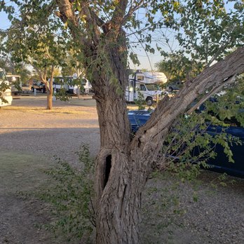 Amarillo KOA - Beautiful camping spot under the trees - Campgrounds Near Me - Amarillo, Texas Amarillo KOA - Beautiful camping spot under the trees - Campgrounds Near Me - Amarillo, Texas