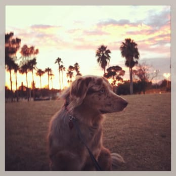 Himmel Park - Walking the dog at Hummel park at sunset. Beautiful - Parks Near Me - Tucson, Arizona