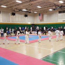US Tae Kwon Do College
