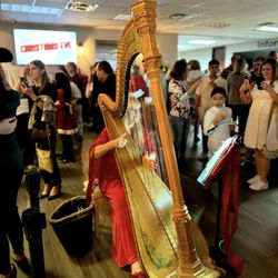Countryside Christian Church - Harp
