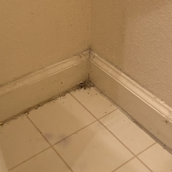 Pristine Cleaning - This was after they were "finished" with the bathroom. - Home Cleaning Near Me - Las Vegas, Nevada