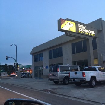 Paw Commons - Their new location-- not open yet though. - Pet Sitting Near Me - San Diego, California Paw Commons - Their new location-- not open yet though. - Pet Sitting Near Me - San Diego, California