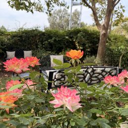 Garden seating Garden seating