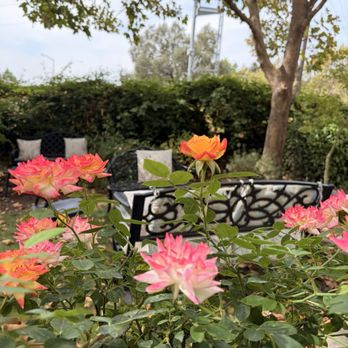 Fleur Sauvage Chocolates - Garden seating - Chocolatiers & Shops Near Me - Windsor, California Fleur Sauvage Chocolates - Garden seating - Chocolatiers & Shops Near Me - Windsor, California