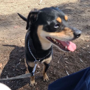 Harry Griffen Park - Leila loves this park. - Parks Near Me - La Mesa, California Harry Griffen Park - Leila loves this park. - Parks Near Me - La Mesa, California