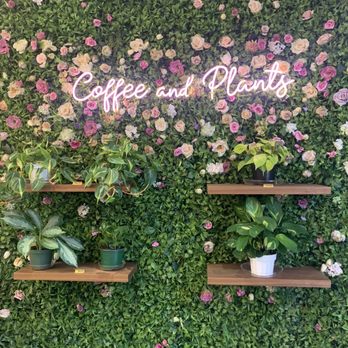 Coffee and Plants - Coffee & Tea Near Me - Pasadena, California